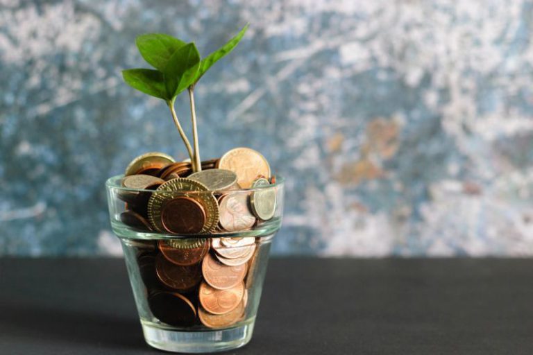 Costs - green plant in clear glass vase